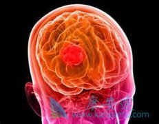 ���Խ���������Ϊ�ζ�����������