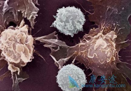 海外医疗 海外医疗