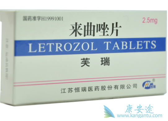 ������Ƭ