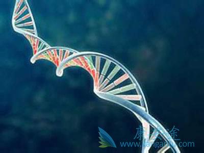 ����ҽ��