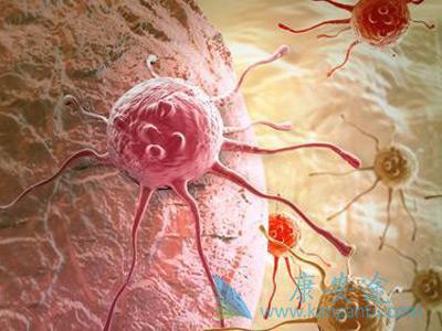 ����ҽ��