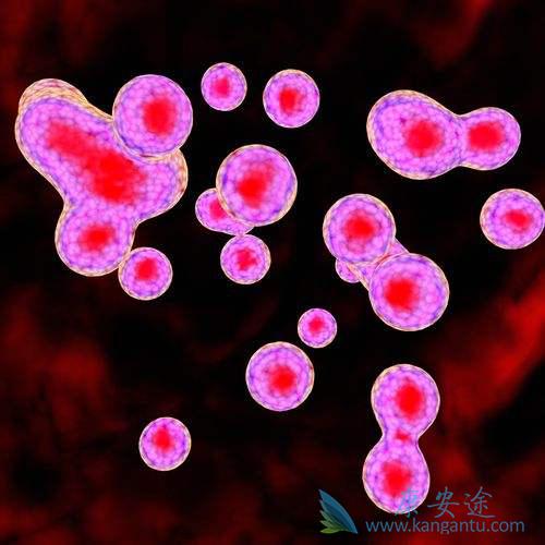 ����ҽ��