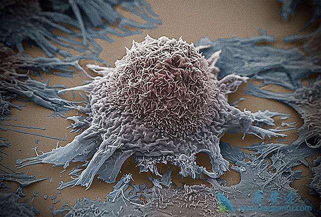 ����ҽ��