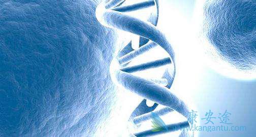 ����ҽ��