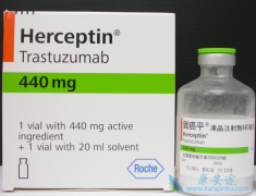 ����͡����������HER2�������ٰ����淢�Ӹ��������