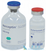 ����͡�븨������ͬʱ��������HER2�������ٰ�Ч������