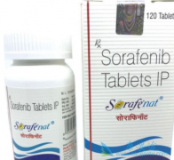 ӡ�Ȱ�༪�����������ᣩ���ż������ܻ�������