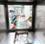 CAR-Tϸ�����Ʒ����ǰ�֢�������Ʒ�������Ҫ����