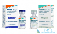 PD-1���Ƽ�Opdivo����Yervoy���ư�֢Ч����ô����