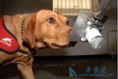 ���ᰩȮ���򽫳�Ϊ����ҽ�ư�֢����·�ʽ