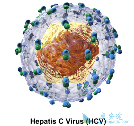 丙肝的治疗方法 丙肝的治疗方法