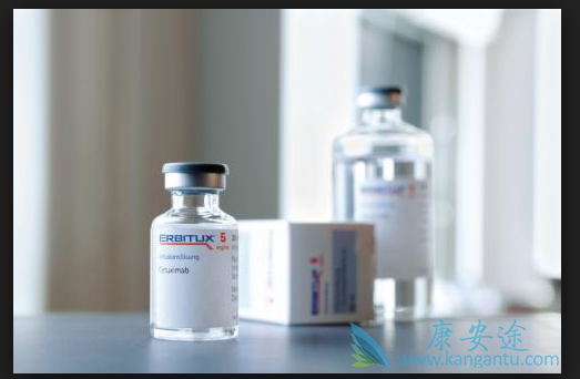 西妥昔单抗 西妥昔单抗