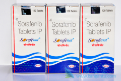 �༪�����������ᣩ�����������ڼ�״�ٰ���