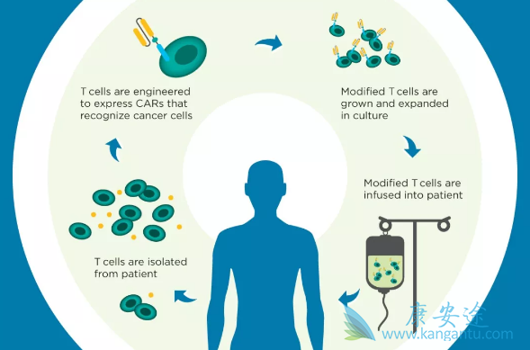 CAR-T CAR-T