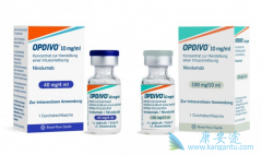 PD-1���Ƽ�Opdivo��ŷ���֣��ڹ��ڵĶ����Ƕ���Ǯ��