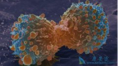 ����ҽ���·��ֻ��ܳɹ���ֹ��ϸ����ɢ