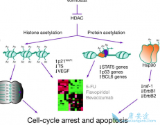 ����ŵ�����������������������ܰ���