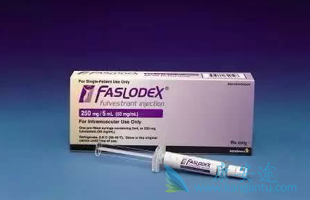 氟维司群 氟维司群