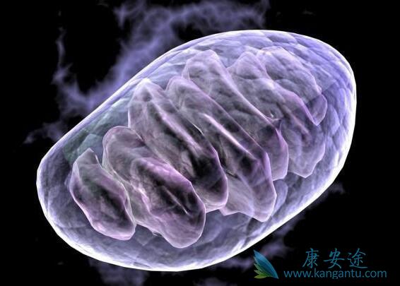 ����ҽ��