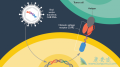 CAR-Tϸ���Ʒ��ʺ����е�ԭ�����ݸ�Bϸ���ܰ�����