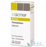 ��������(afatinib)��ʹ���۰����ߵİ�֢��չ����������