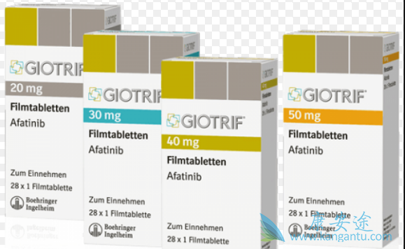 阿法替尼 阿法替尼