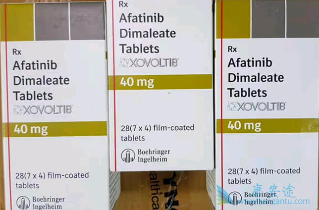 阿法替尼 阿法替尼