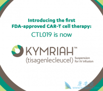 ŵ�����µ�CAR-T�Ʒ�KYMRIAH��2017����FDA��׼����