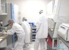 ��ѪҺ������CAR-Tϸ�����ƻ�����������ĵ����ƿռ�