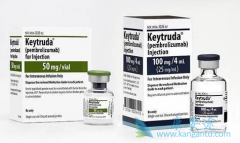 PD-1���Ƽ�Keytruda���ϻ��ƽ��л����Ϊ���ڷ��۰���ѡ���Ʒ���