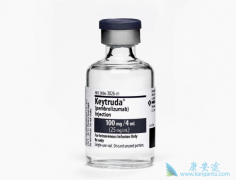 Keytruda��Ϊ�׸���������������Bϸ���ܰ�����PD-1�����Ʒ�