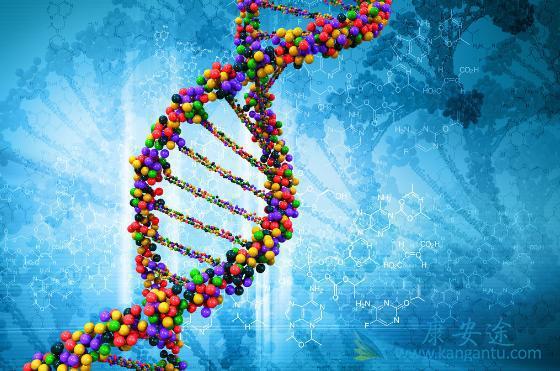 ����ҽ��