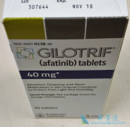 Ӣ�����ڷΰ�������ѡҩ���ǰ�������GILOTRIF