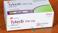 ��������(lapatinib)������ԭ���Լ�ҩ���λ