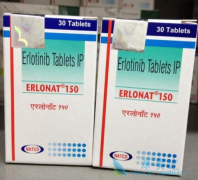 �����߶������ᣨERLOTINIB���������ڷ��ٰ����ߵ�������