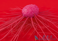 ��������Bosutinib���ƵĻ��߾�����ʹ�没������