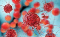 Bosulif��Bosutinib����ʲôҩ��Bosutinib��ʲô������Ӧ