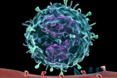 PD-1���Ƽ�Opdivo�������ڸΰ��ĳɹ����Ƕ���