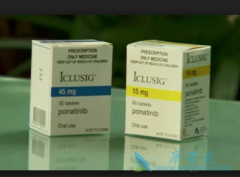 ��������Ponatinib��������ϸ����ֲ˭��Ч����