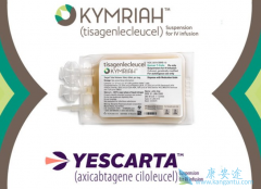 �й�Ŀǰӵ�д�����CAR-Tϸ����������о�