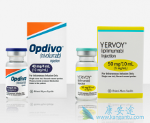 PD-1����ŷ����(Opdivo)��Ϊ�ҹ��ΰ������ṩ�µ�����ѡ��