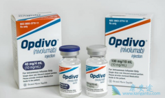 PD-1���Ƽ�Opdivo����Yervoy��������һ�����Ʒΰ�