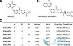 ��������(Olaparib)������ɼ����������θ����ʧ�ܸ���