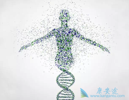 奥拉帕尼 奥拉帕尼