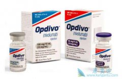 PD-1���Ƽ�KEYTRUDAʹ�ÿ��ӳ����ڻ���������