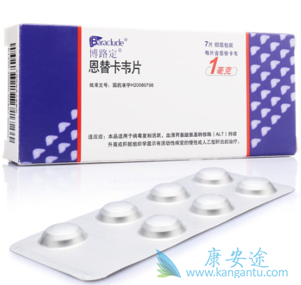 恩替卡韦片 恩替卡韦片