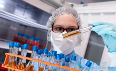 CAR-Tϸ�����Ƶļ۸����ϸ����ֲ��Ȳ�������