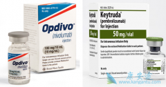 PD-1���Ƽ�Opdivo����֮������������򵽣�