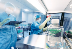 ������������CAR-Tϸ�����Ʒ�������ʶ����ӹ㷺�İ�ϸ��