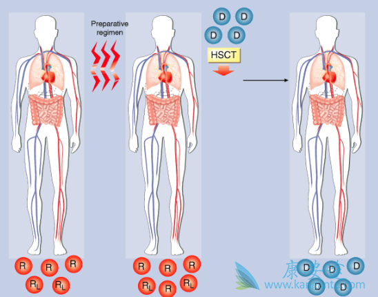 ʲô�Ƕ෢�Թ�����